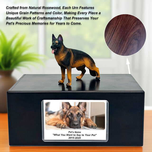 Pet Urn Memorial Shadow Box for Dog & Cat Ashes – Sympathy Keepsake Frame Gift