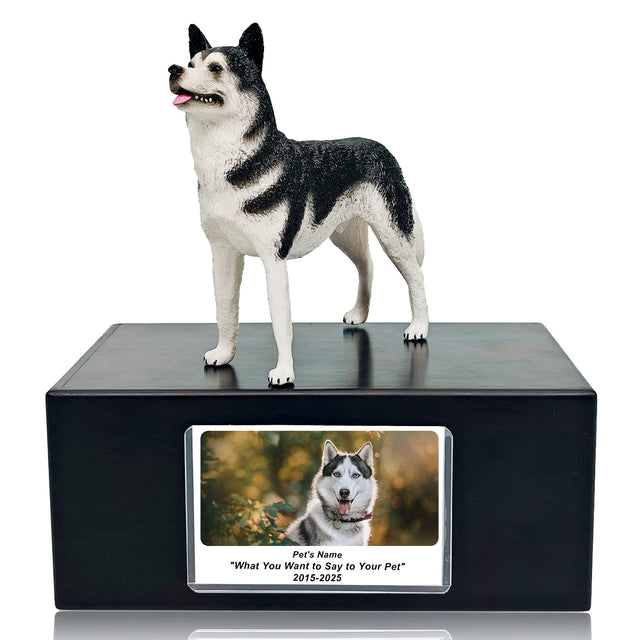 Pet Urn Memorial Shadow Box for Dog & Cat Ashes – Sympathy Keepsake Frame Gift