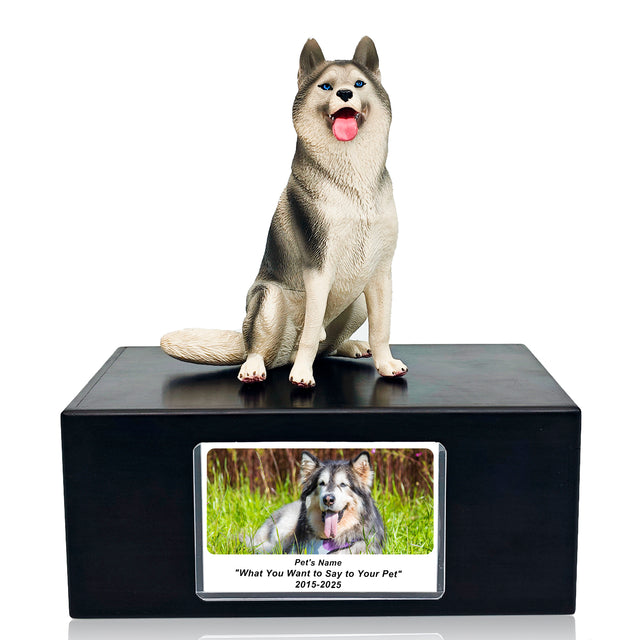Pet Urn Memorial Shadow Box for Dog & Cat Ashes – Sympathy Keepsake Frame Gift