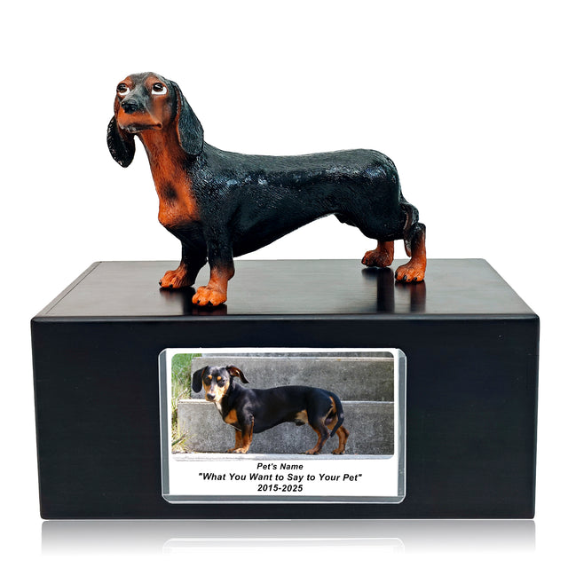 Pet Urn Memorial Shadow Box for Dog & Cat Ashes – Sympathy Keepsake Frame Gift