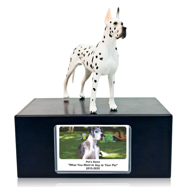 Pet Urn Memorial Shadow Box for Dog & Cat Ashes – Sympathy Keepsake Frame Gift