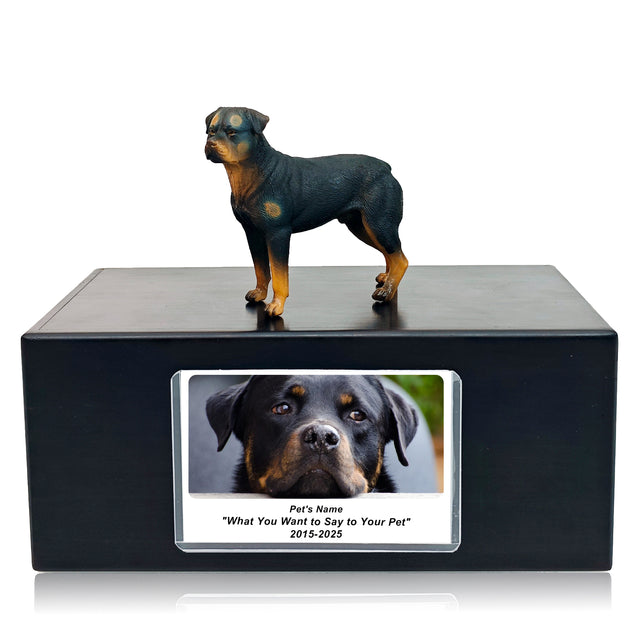 Pet Urn Memorial Shadow Box for Dog & Cat Ashes – Sympathy Keepsake Frame Gift