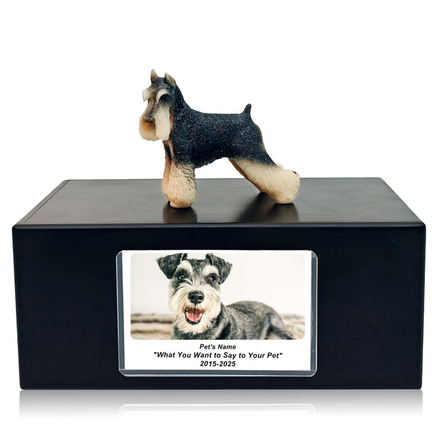 Pet Urn Memorial Shadow Box for Dog & Cat Ashes – Sympathy Keepsake Frame Gift