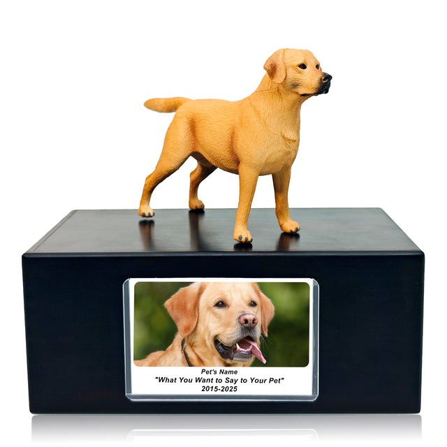Pet Urn Memorial Shadow Box for Dog & Cat Ashes – Sympathy Keepsake Frame Gift