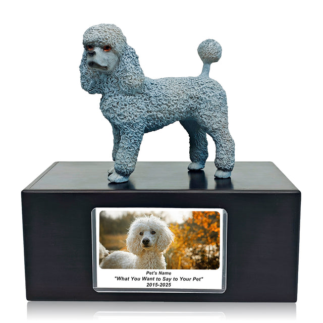 Pet Urn Memorial Shadow Box for Dog & Cat Ashes – Sympathy Keepsake Frame Gift