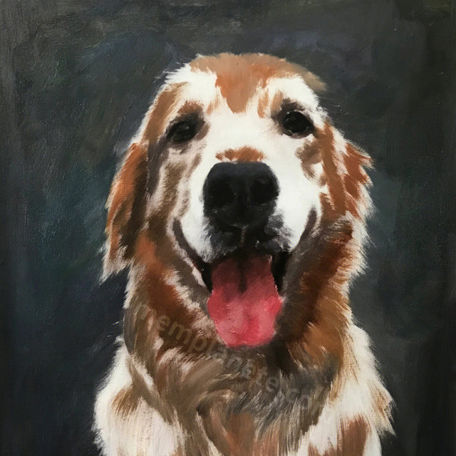 Pet Souvenir Oil Painting Customization