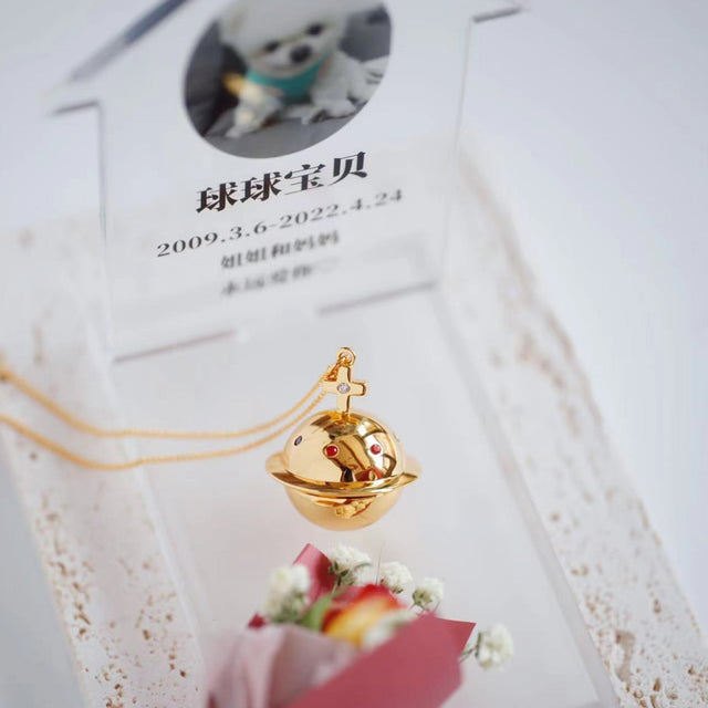 Pet Ashes Hair Collection Pendant Memorial Planet Necklace