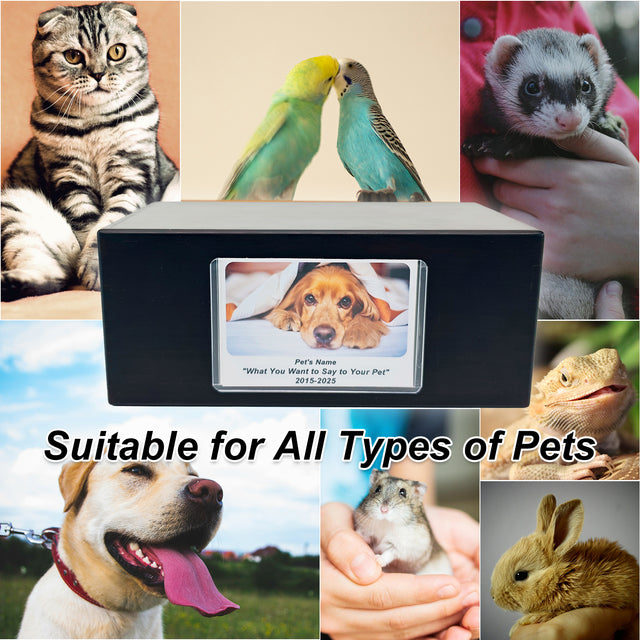 Pet Urn Memorial Shadow Box for Dog & Cat Ashes – Sympathy Keepsake Frame Gift