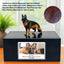 Pet Urn Memorial Shadow Box for Dog & Cat Ashes – Sympathy Keepsake Frame Gift