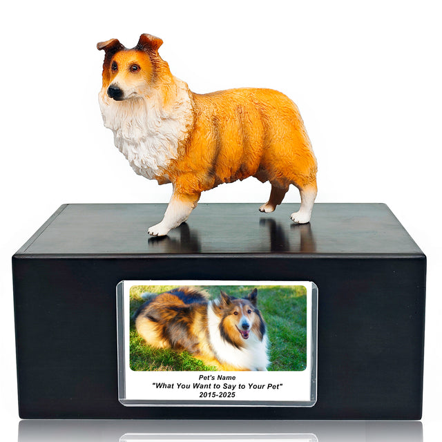 Pet Urn Memorial Shadow Box for Dog & Cat Ashes – Sympathy Keepsake Frame Gift