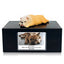 Pet Urn Memorial Shadow Box for Dog & Cat Ashes – Sympathy Keepsake Frame Gift