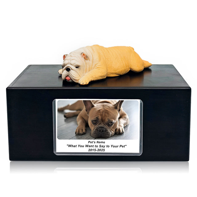 Pet Urn Memorial Shadow Box for Dog & Cat Ashes – Sympathy Keepsake Frame Gift