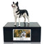 Pet Urn Memorial Shadow Box for Dog & Cat Ashes – Sympathy Keepsake Frame Gift