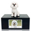 Pet Urn Memorial Shadow Box for Dog & Cat Ashes – Sympathy Keepsake Frame Gift