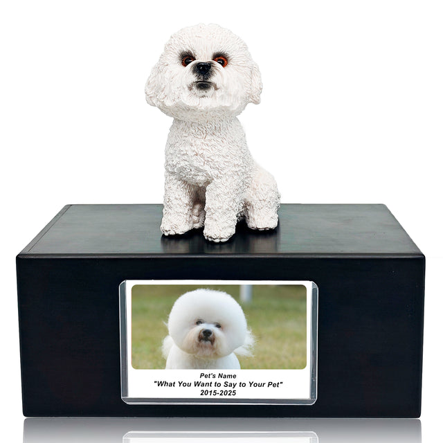 Pet Urn Memorial Shadow Box for Dog & Cat Ashes – Sympathy Keepsake Frame Gift