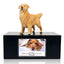Pet Urn Memorial Shadow Box for Dog & Cat Ashes – Sympathy Keepsake Frame Gift