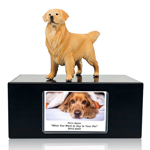 Pet Urn Memorial Shadow Box for Dog & Cat Ashes – Sympathy Keepsake Frame Gift