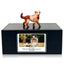 Pet Urn Memorial Shadow Box for Dog & Cat Ashes – Sympathy Keepsake Frame Gift