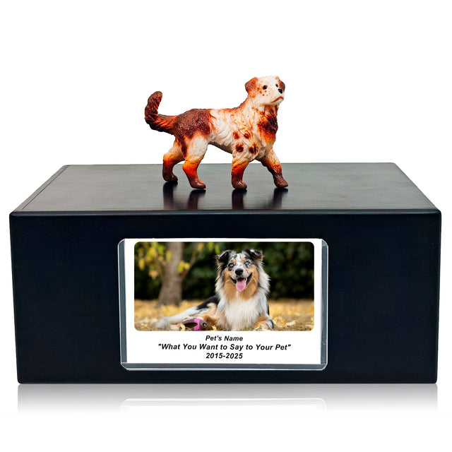 Pet Urn Memorial Shadow Box for Dog & Cat Ashes – Sympathy Keepsake Frame Gift