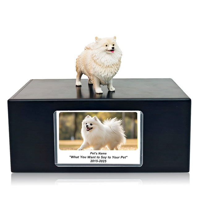 Pet Urn Memorial Shadow Box for Dog & Cat Ashes – Sympathy Keepsake Frame Gift