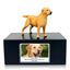 Pet Urn Memorial Shadow Box for Dog & Cat Ashes – Sympathy Keepsake Frame Gift