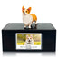 Pet Urn Memorial Shadow Box for Dog & Cat Ashes – Sympathy Keepsake Frame Gift