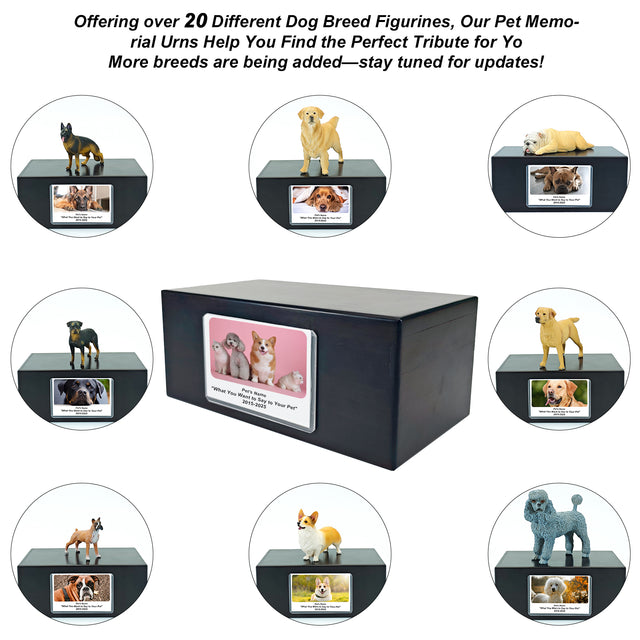 Pet Urn Memorial Shadow Box for Dog & Cat Ashes – Sympathy Keepsake Frame Gift