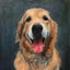 Pet Souvenir Oil Painting Customization