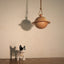 Pet Memorial Planet Necklace Can Put Pet Hair Teeth