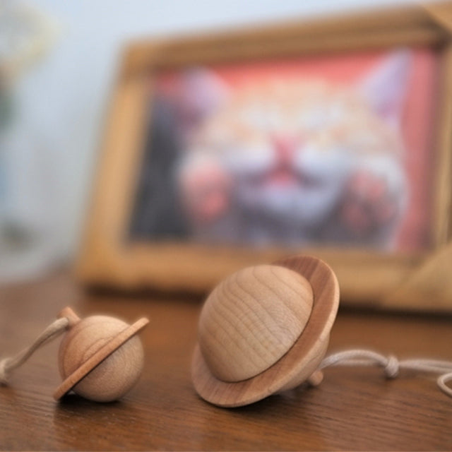 Pet Memorial Planet Necklace Can Put Pet Hair Teeth