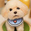 Pet Model Wool Felt Custom Souvenirs