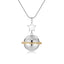 Pet Hair, Ashes Storage Pendant Memorial Planet Series