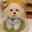 Pet Model Wool Felt Custom Souvenirs