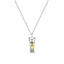 Sweetie Cat Ashes Necklace Pet Memorial Jewelry
