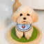 Pet Model Wool Felt Custom Souvenirs