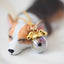 Pull Pull Small Ears Cats and Dogs Pet Souvenir Necklace