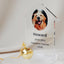 Pet Ashes Hair Collection Pendant Memorial Planet Necklace