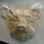 Pet Custom Leather Carving Gift Pendant Souvenir