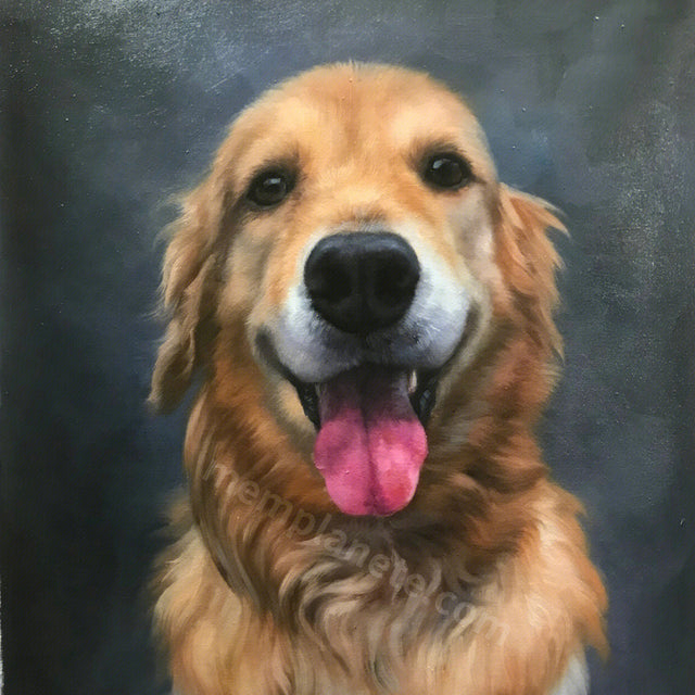 Pet Souvenir Oil Painting Customization