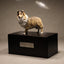 Shetland Sheepdog sculpture pet urn