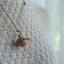 Pet Memorial Planet Necklace Can Put Pet Hair Teeth