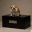 Bulldog sculpture pet urn