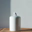 Jingdezhen Ceramic Cat and Dog Pet Urn Memorial Jar
